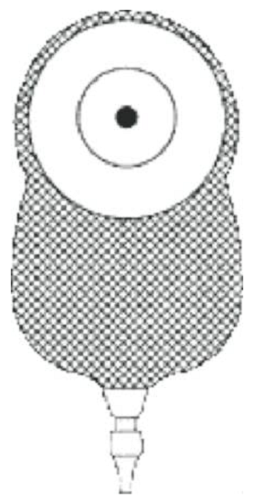 171675