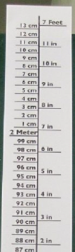 218254