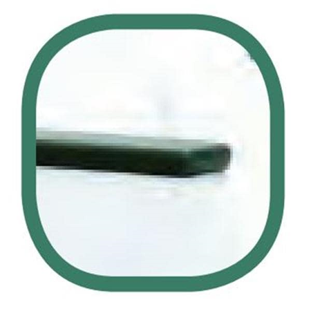 277054