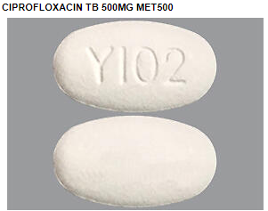 334032