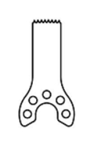 356481