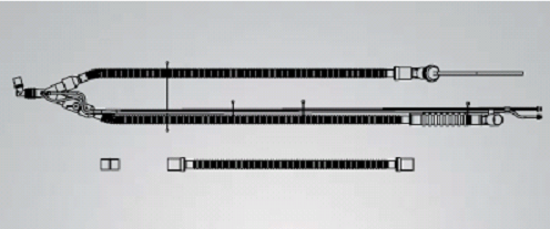 241856