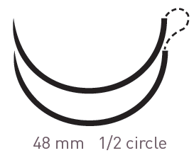 267684
