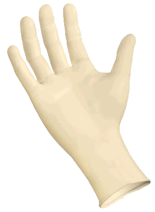 296589