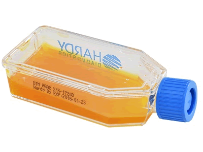 318070