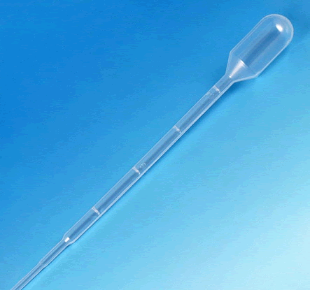 241565