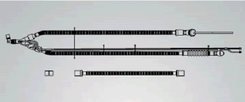241856