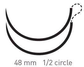 267684