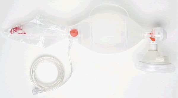269586