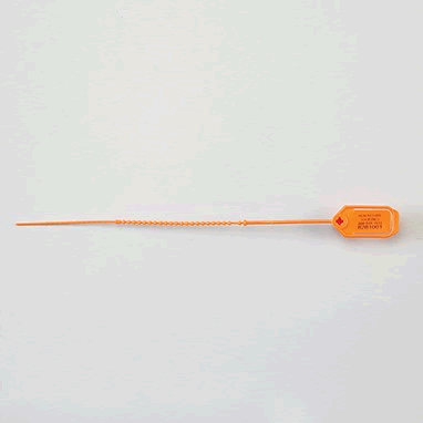 290423