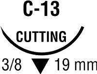 291203