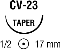294264