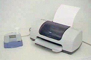309523