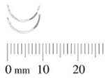 254162