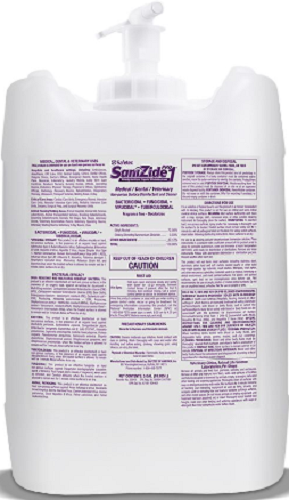 405054