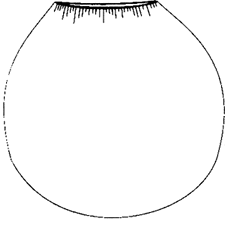 171268