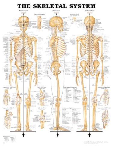 518431