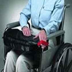 169603